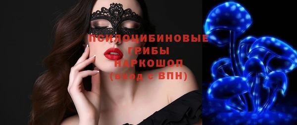 гидропоника Белокуриха
