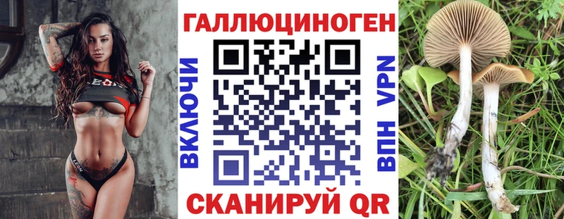 купить наркотик  Шлиссельбург  Псилоцибиновые грибы прущие грибы 